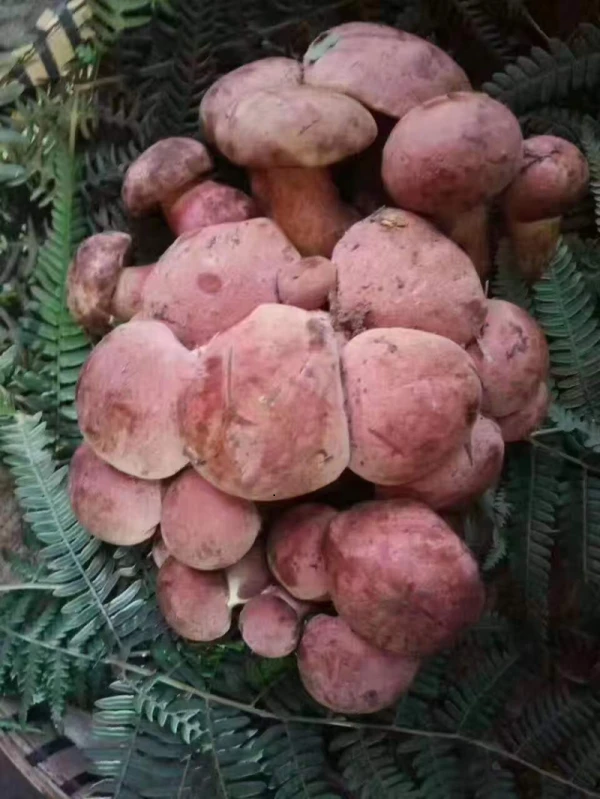 全国文娱场合排名