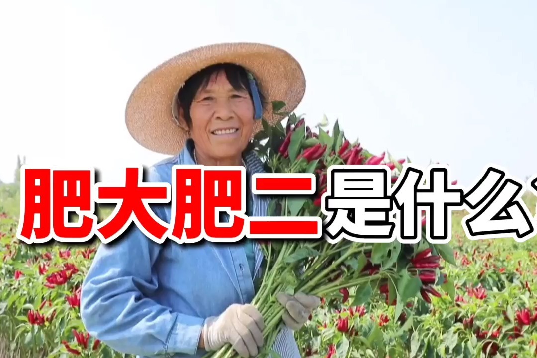 国家卫健委肥胖食养指南