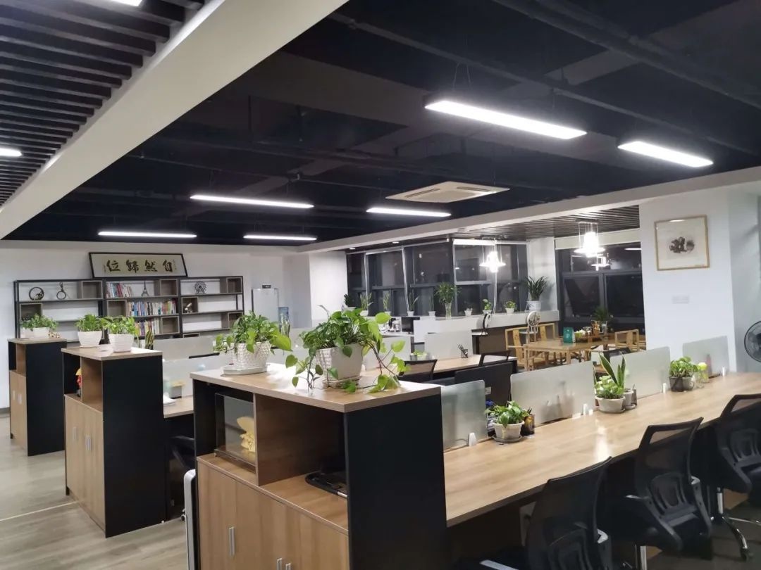 鞍千职工健康档案报告