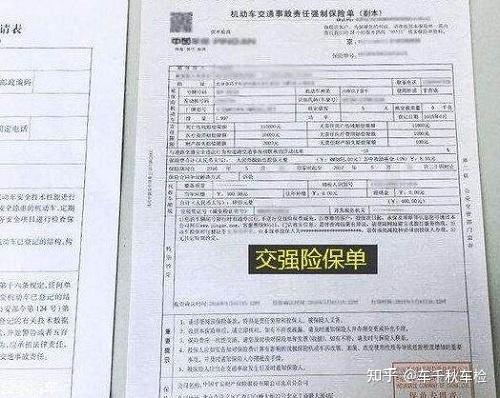 保险保单号查询