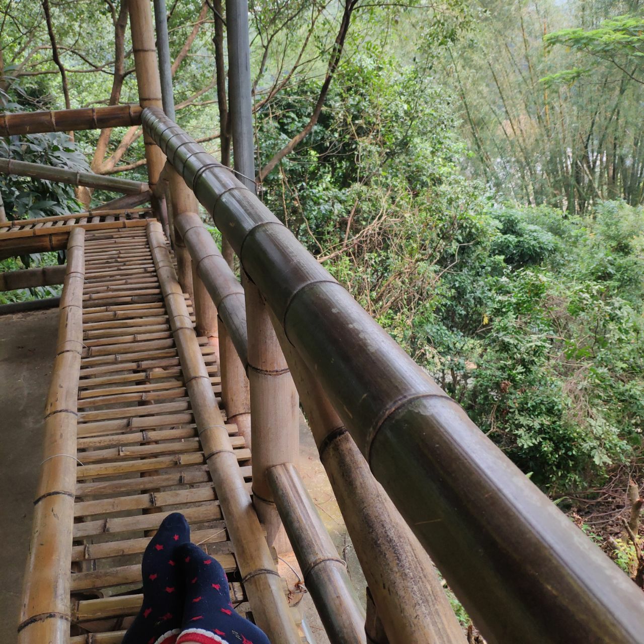 谷丰园有什么好吃的