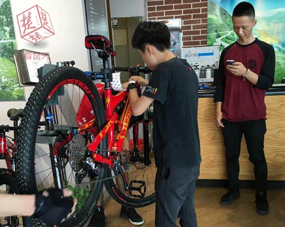 自行车上市公司龙头