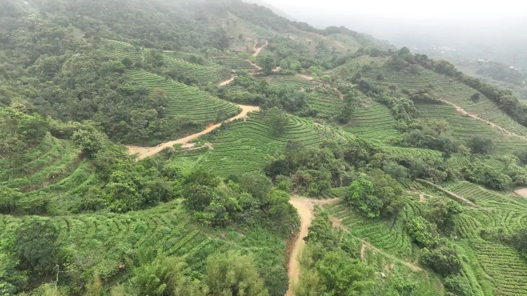 肥壮短句适宜发好友圈