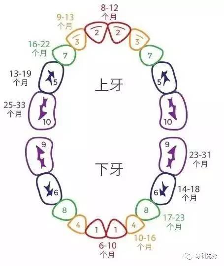 儿童换牙期要注意哪些问题