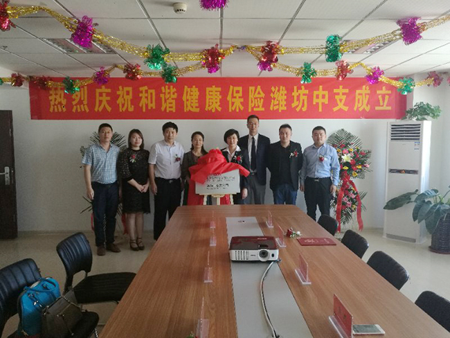 和谐健康保险电话是多少