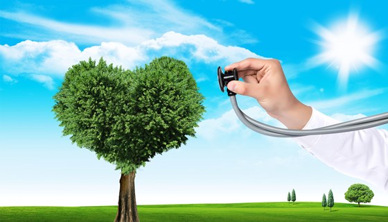 大学生心理健康的标准