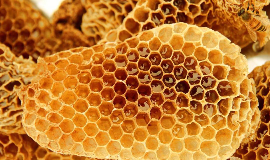 蜂蜜是什么