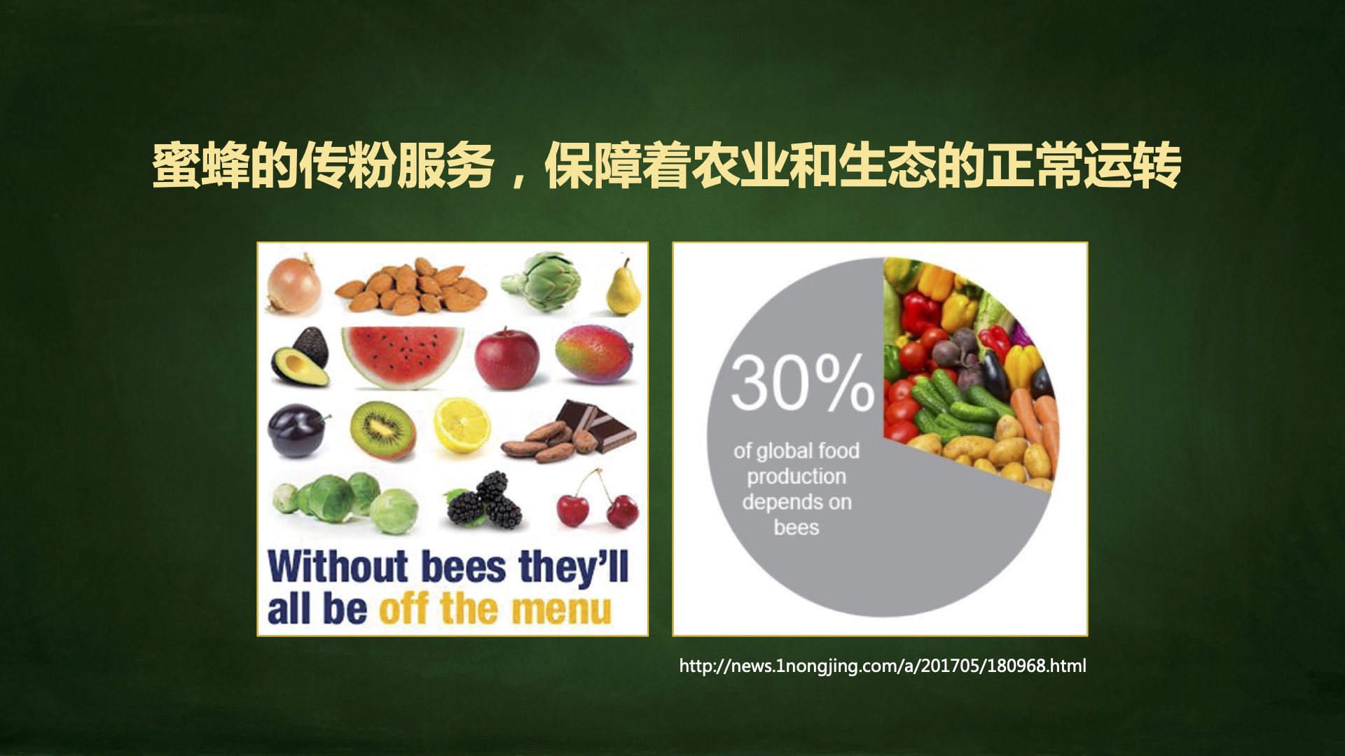 蜂蜜和糖有什么区别