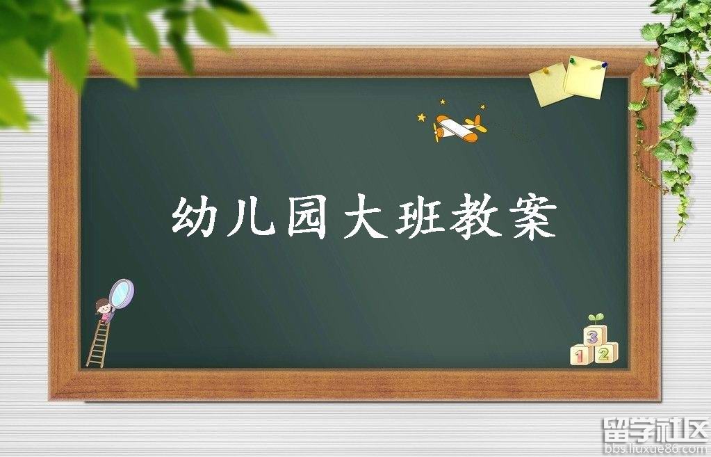 大班教案