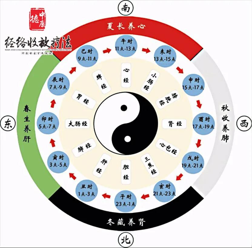 子午觉的重要性有多大