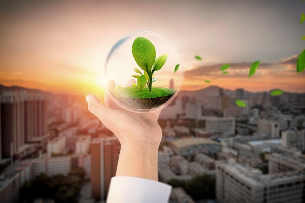 大健康产业全国门店有多少家