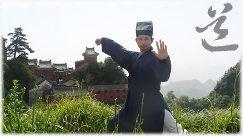 教授的功夫课程