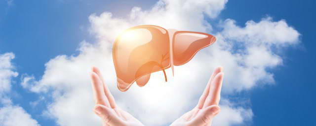 养肝护肝的中成药哪种最好