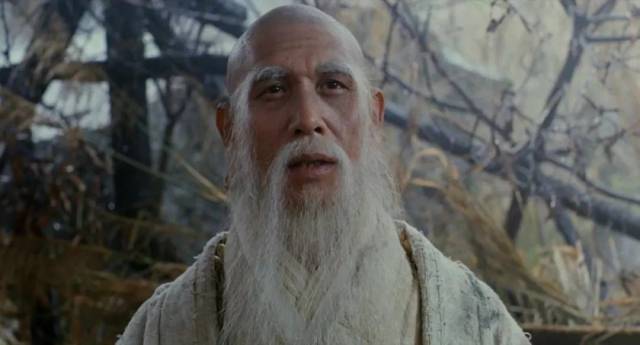 大夫道人简介50字