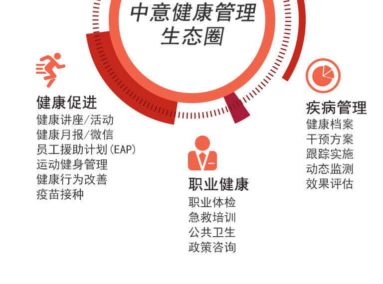 理解其在患者护理中的作用