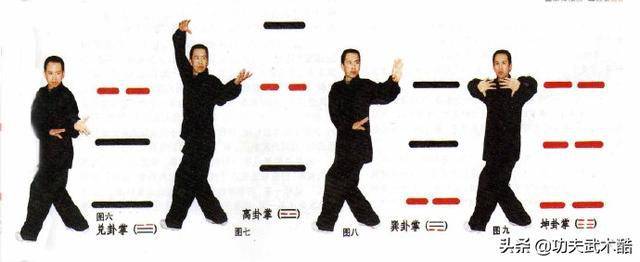 初学八卦掌的入门指南