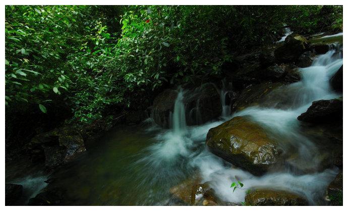 怀化市鹏晨康健肥壮治理有限公司怎样样