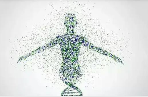 人体自愈力疗法