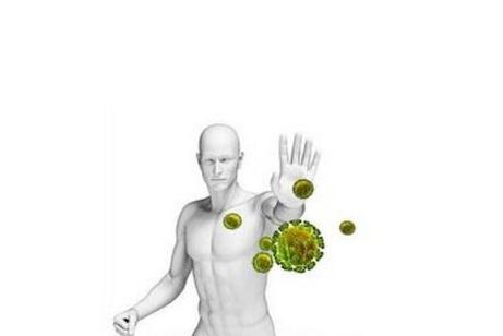 体质差免疫力低吃什么补品