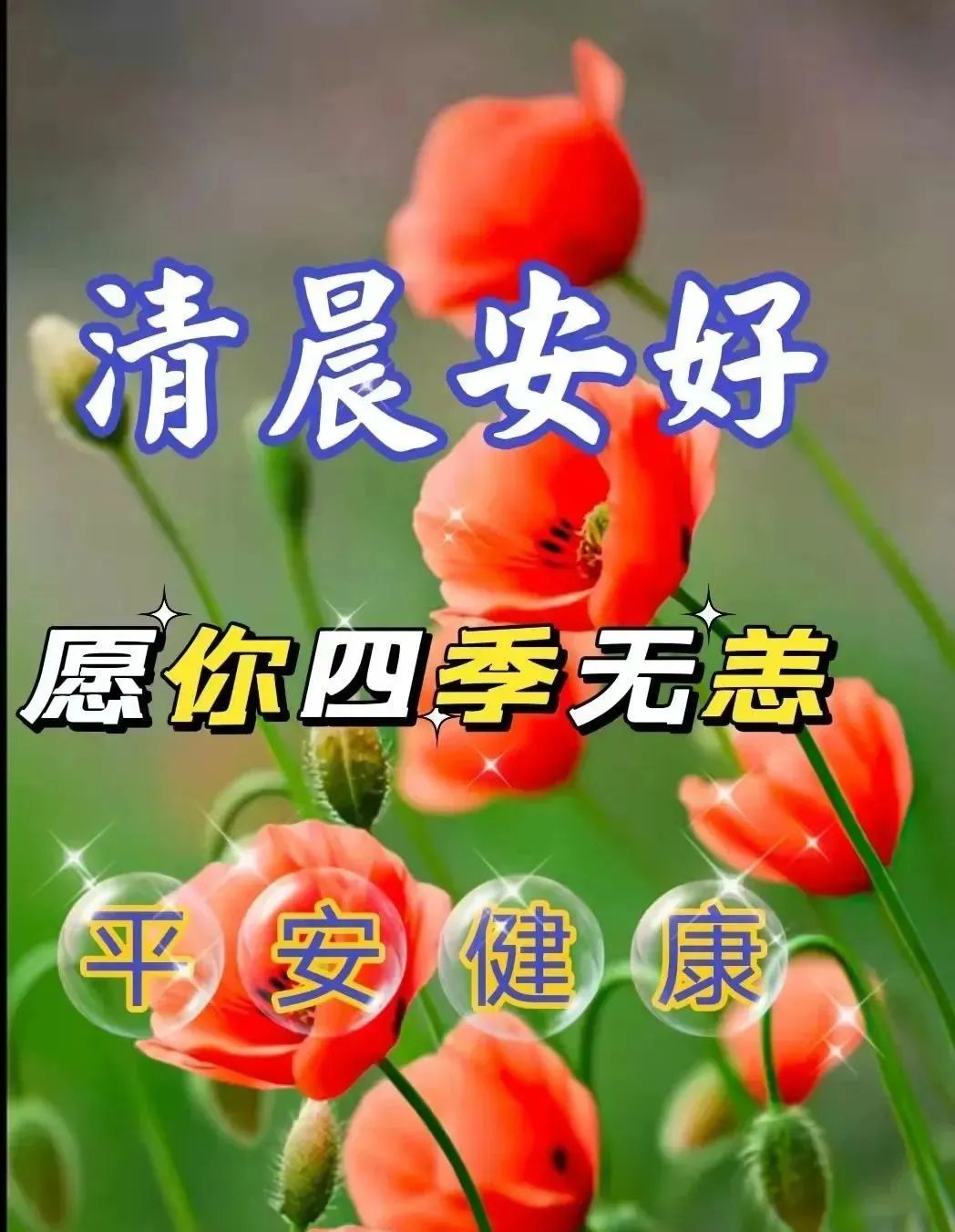 7月8日早安图片