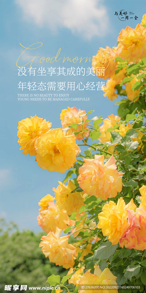 早心语图片大全