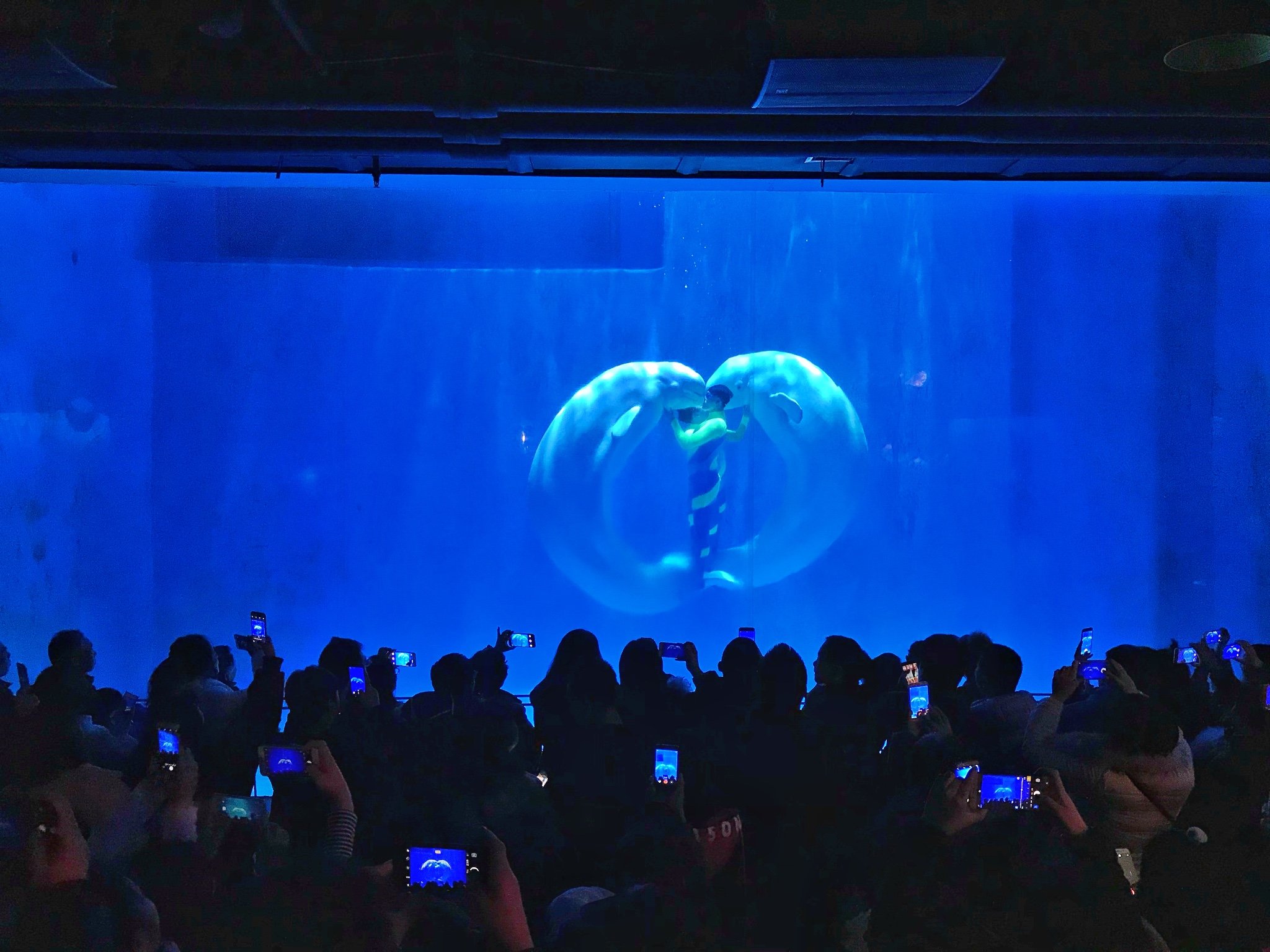 哈尔滨极地馆门票多少钱一张