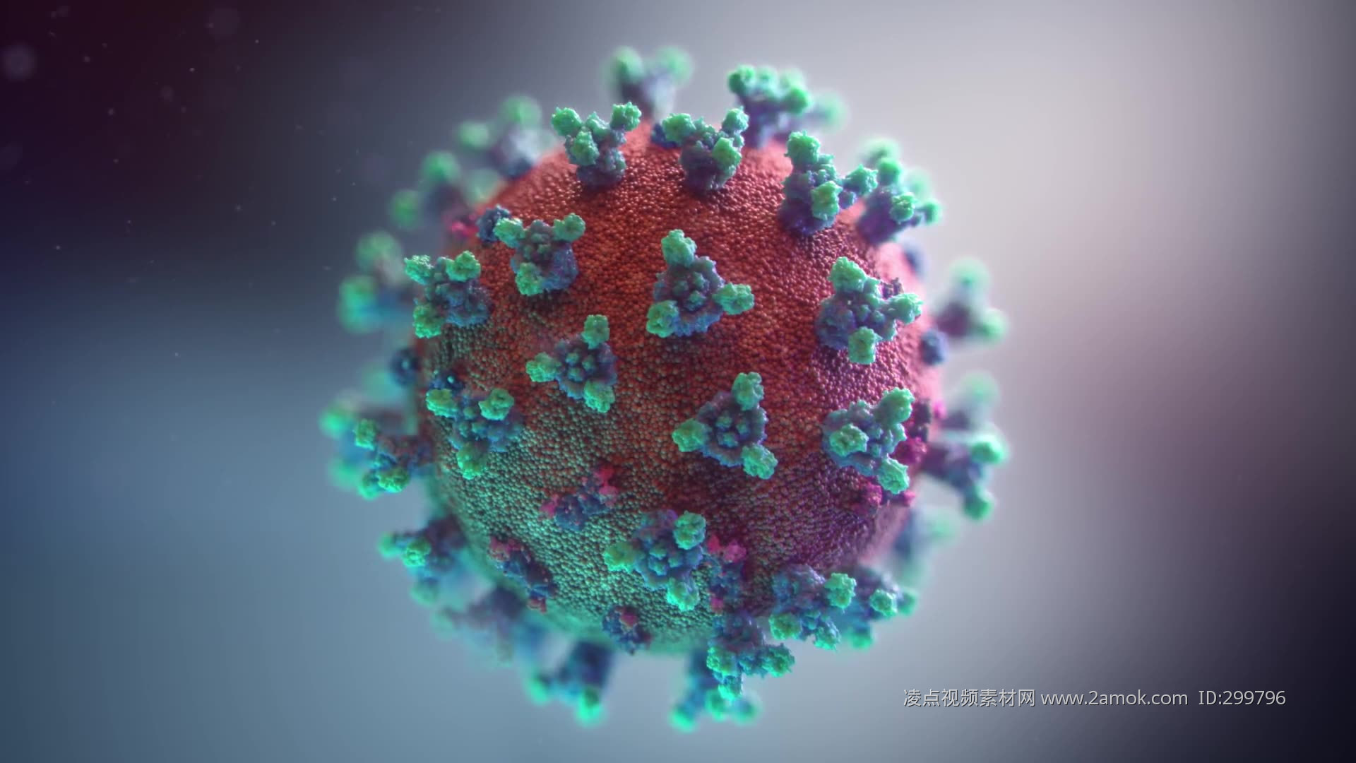 新型冠状病毒的作文400字怎样写
