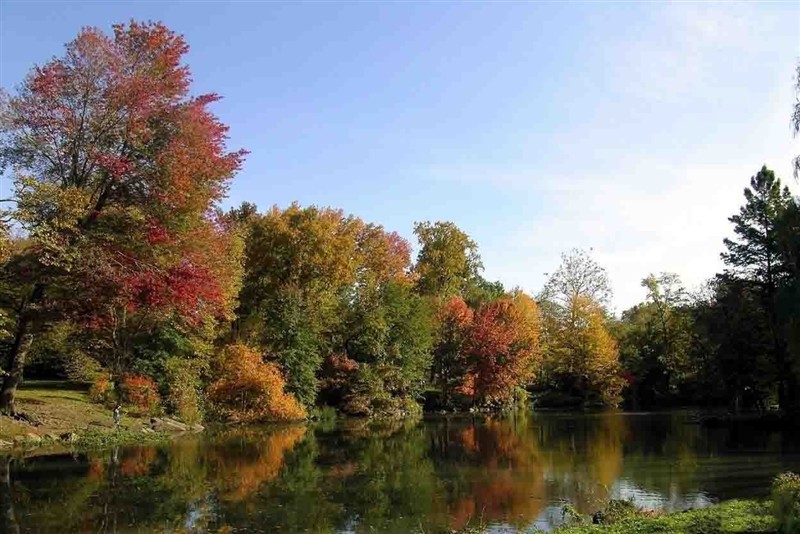 中央公园的简介和历史