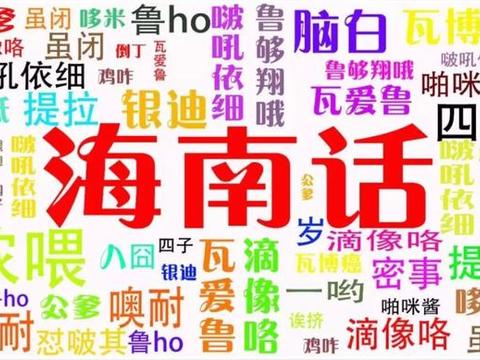 海南最少的少数民族是哪个