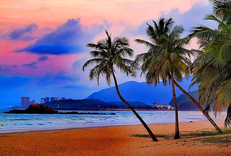 海南最特征的食物是什么