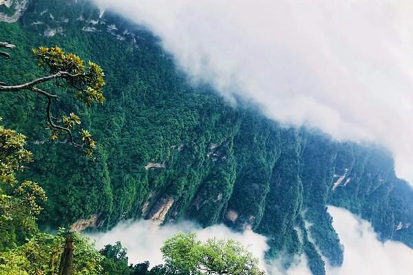 峨眉有什么好吃的