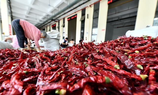 长春哪家的椒麻鸡好吃