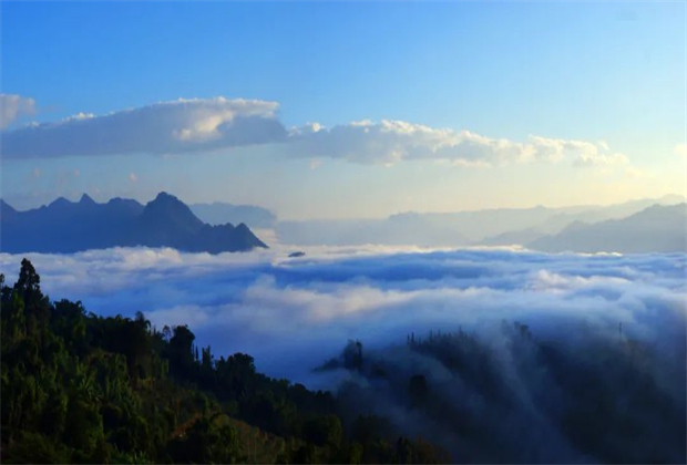 临沧最闻名的小吃是什么?