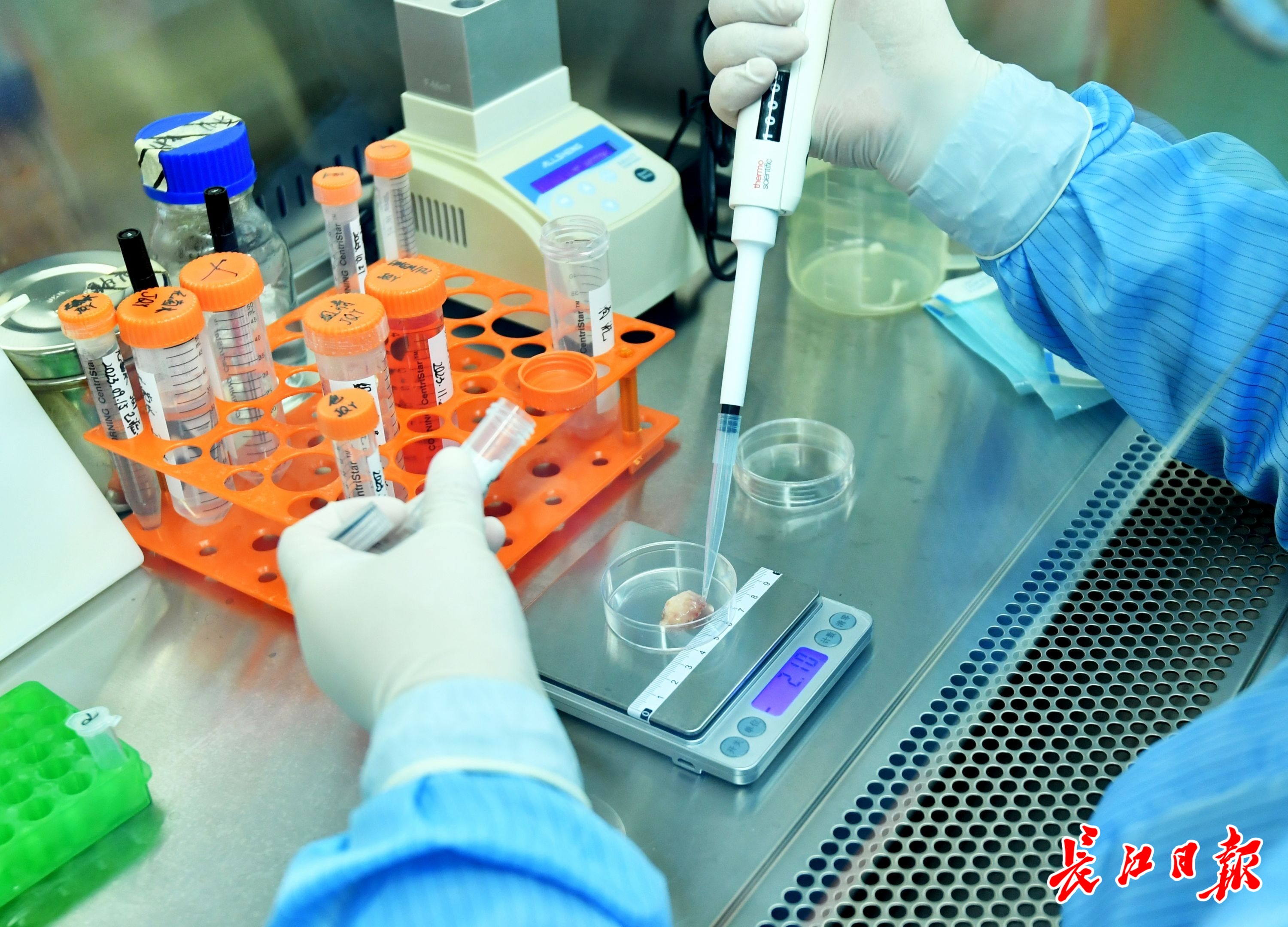 在比拟近的中央有什么好玩的中央