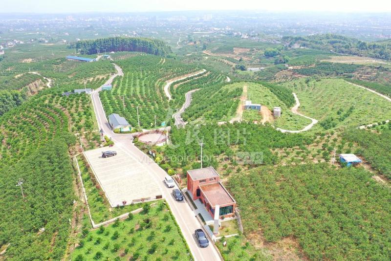 四川丹棱有什么旅游景点