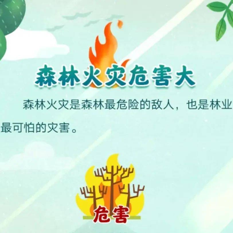 防城港有柳州小吃