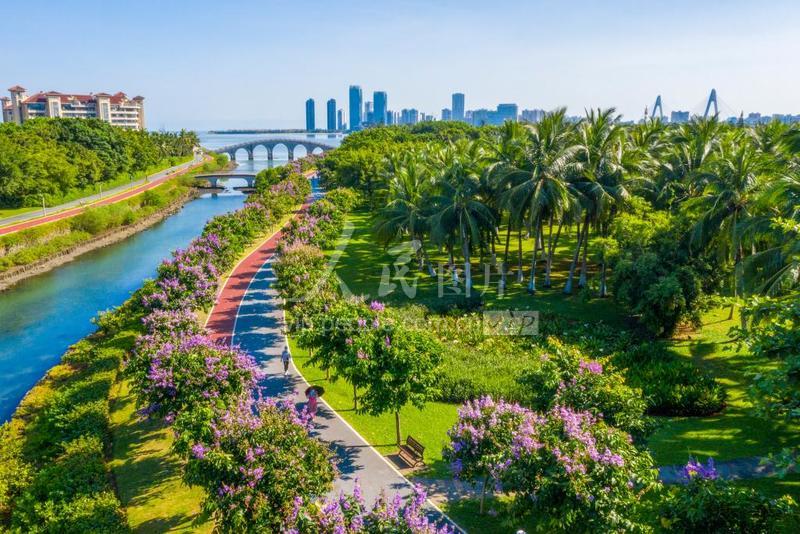 海南有什么特别