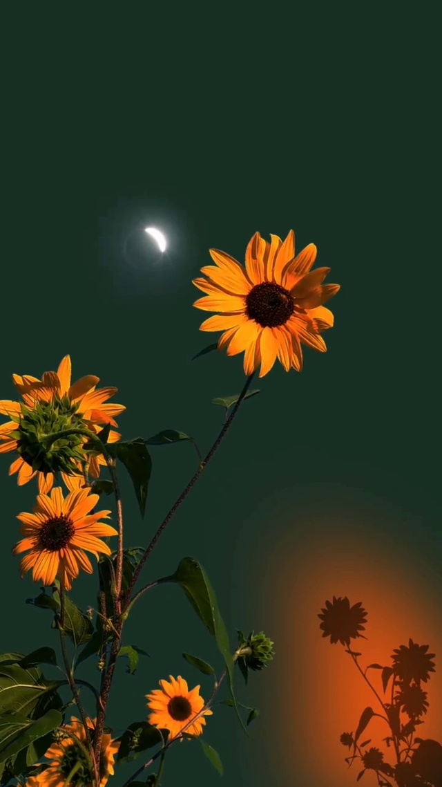 想知道它的营业期间