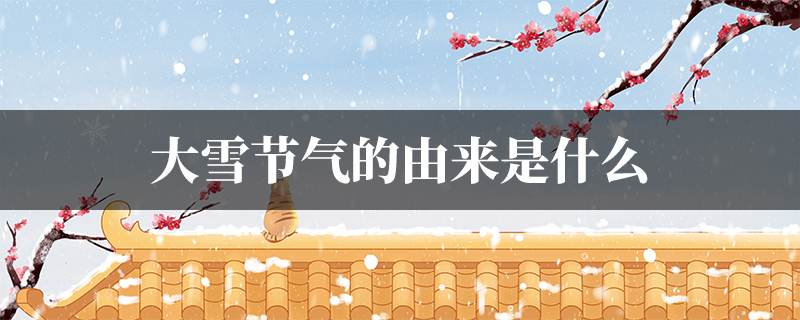 饺子的由来是什么