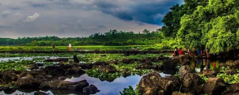 海南定安有什么好吃的