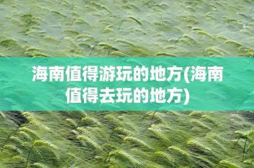 海南有什么好大学