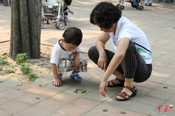 爷爷儿时的美食100字