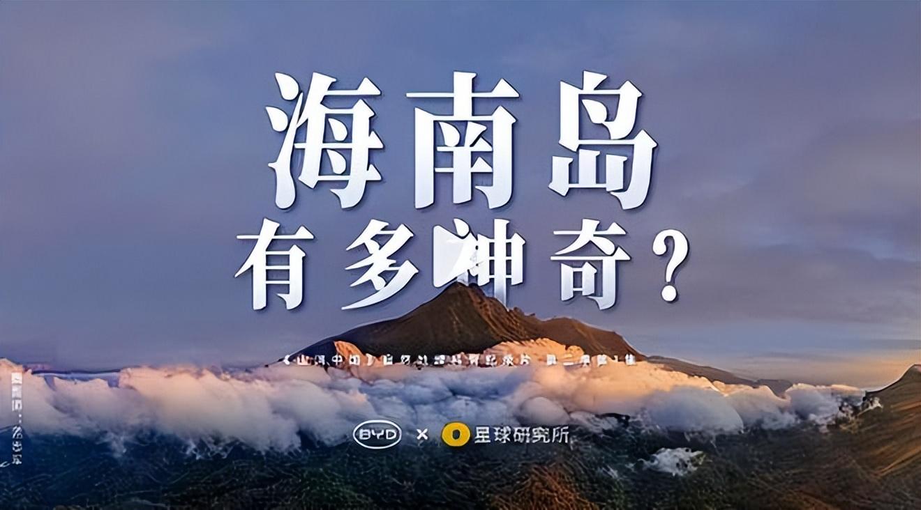 海南岛人的资料