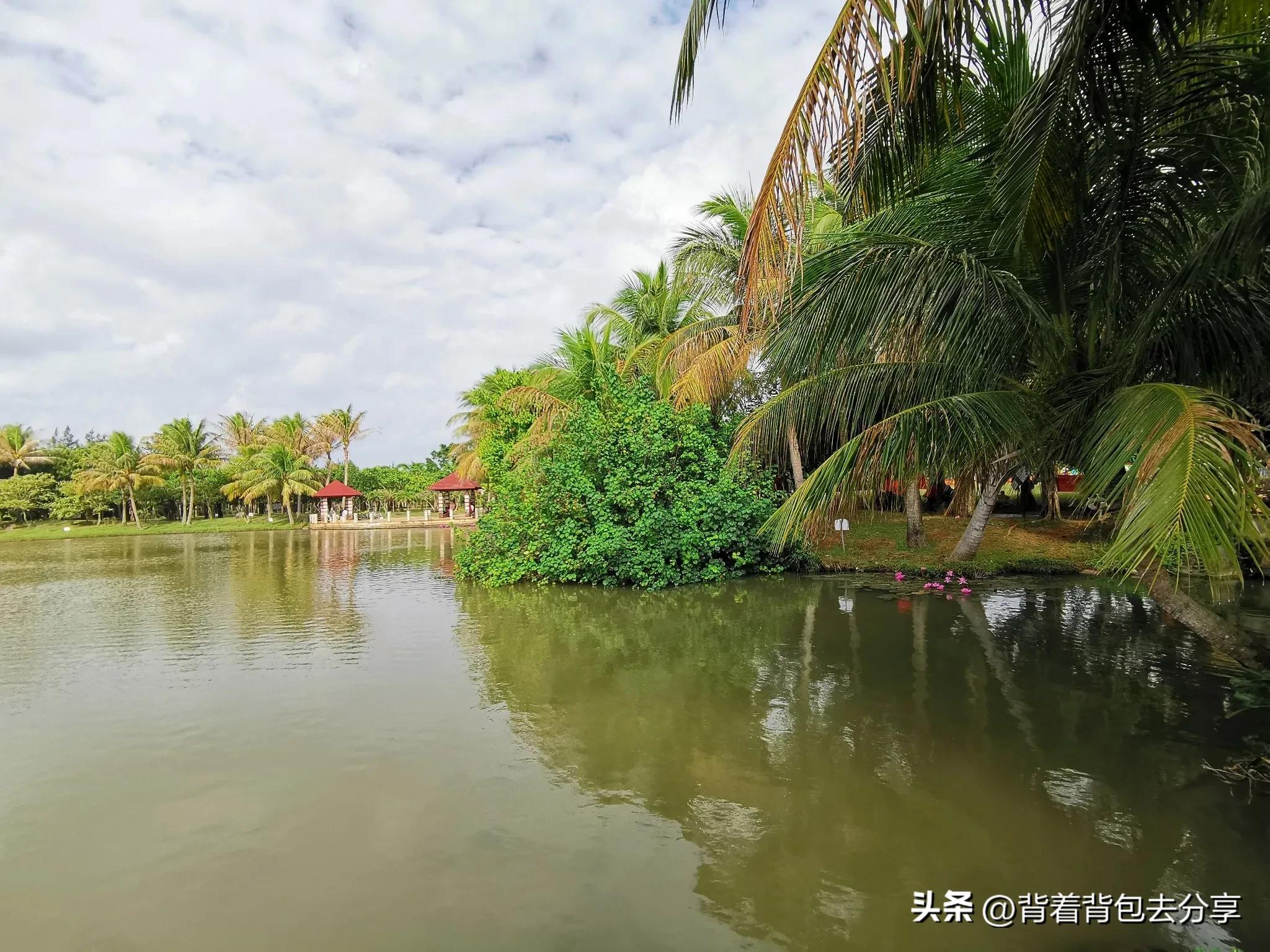 海南有什么大学及排名