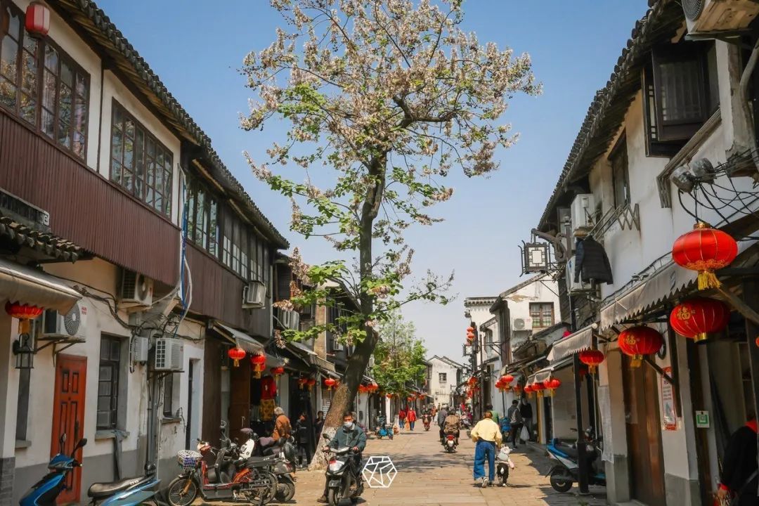 苏州的美食街有哪些