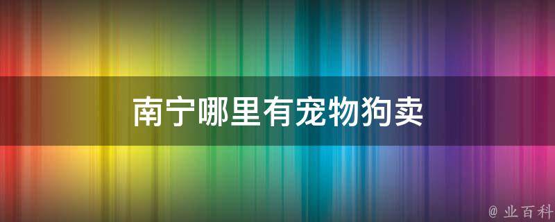 南宁哪里有可以做饭的酒店