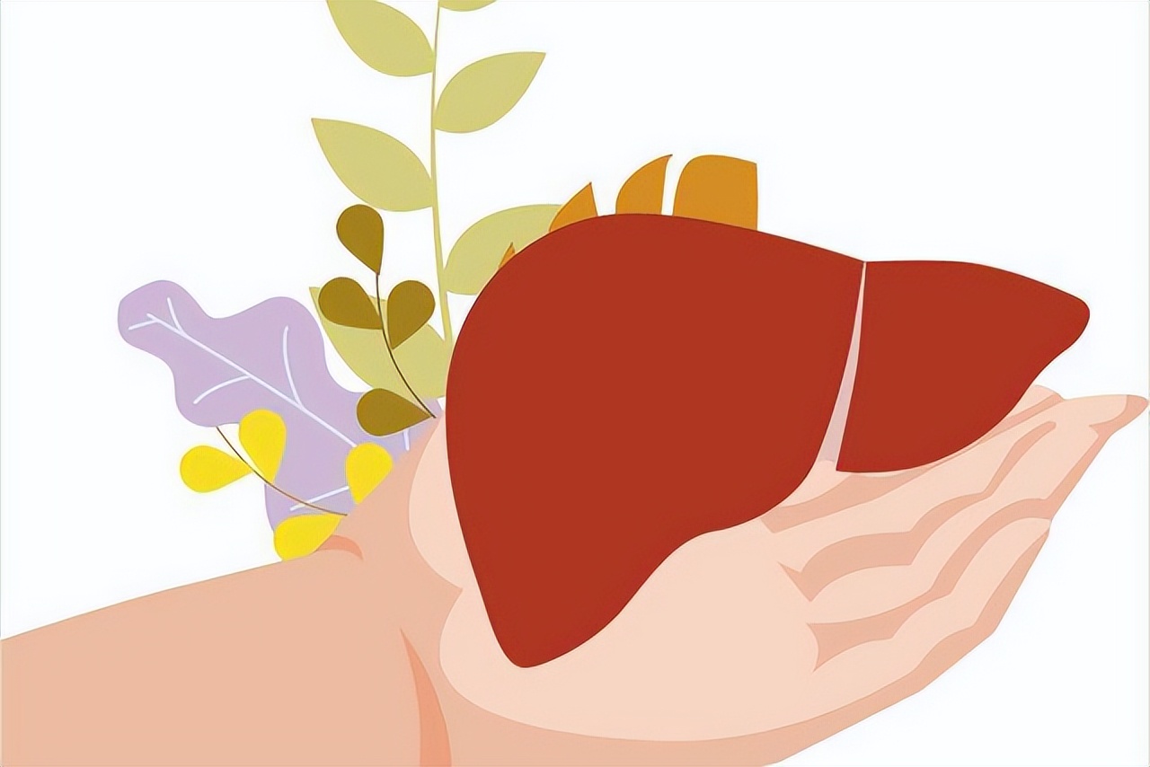 肝脏健康饮食